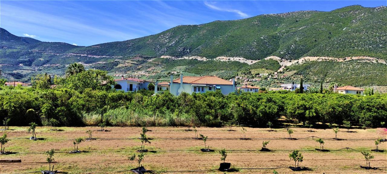 Fani'S Apartments 1 Epidaurus ภายนอก รูปภาพ